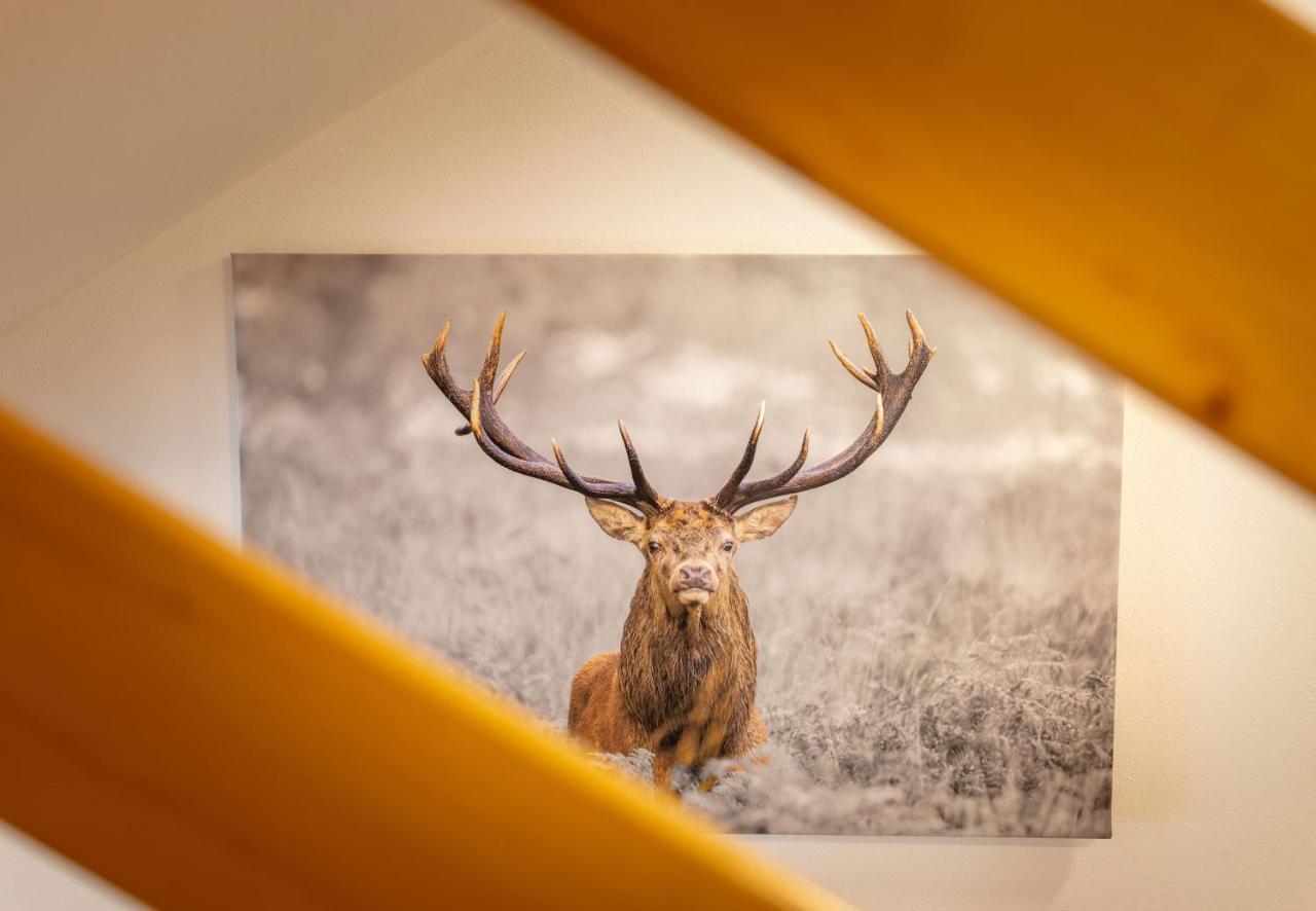 Apartmenthaus Matri By Pferd Auf Wolke Wald am Arlberg Dış mekan fotoğraf